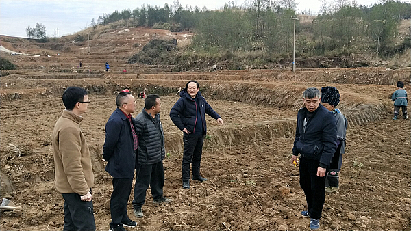 微信图片_20191205090748.jpg